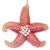 Елочное украшение, 10 см Морская звезда 974612 Novogod'ko