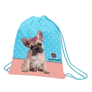 Сумка для змінного взуття, 35х40 см SB-10 Dolly Dog 533486 1 Вересня