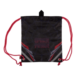 Сумка для сменной обуви, 40х35 см Spider SB-10 559644 Yes