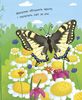 Как рождается бабочка?, 12 страниц, твердая обложка, серия Моя первая энциклопедия Ранок