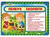 НУШ 1-4 класс: Лепбук Экология