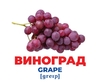 Фрукти та ягоди, набір навчальних карток, серія Геній з пелюшок Ранок