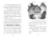 Тото. Кошка-ниндзя и легенда о диком коте, 208 страниц, твердая обложка Д. О'Лири Ранок