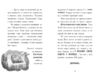 Тото. Кошка-ниндзя и тайна вор драгоценностей, 208 страниц, твердая обложка Д. О'Лири Ранок