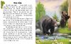 Тварини гір: читаємо по складах, 24 сторінки, м'яка обкладинка, серія Читаю про Україну Каспарова Ю.В. Ранок