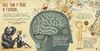 Как работает человеческий мозг, 48 страниц, твердый переплет, серия Детям о науке П. Барречегурен Ранок