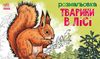 Раскраска А5, 16 страниц, мягкая обложка Животные в лесу Ранок