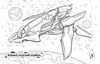 Розмальовка В5 Літаки серія На стрімкому віражі Ранок