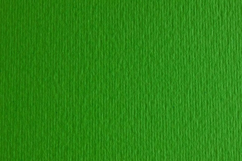 Бумага для дизайна №11 verde зеленая В2 (50х70 см), две текстуры, плотность 220 г/м2 Elle Erre 4823100265768 Fabriano