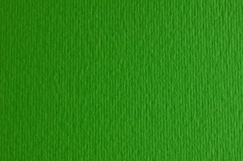 Папір для дизайну №11 verde зелений В1 (70х100 см), дві текстури, щільність 220 г/м2 Elle Erre 8001348104711 Fabriano