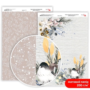 Бумага дизайнерская матовая 21х29,7 см, плотность 200 г/м2 Winter Dreamer 4 4823100243605 ROSA TALENT