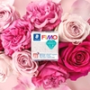 Пластика, с сухоцветами розы, 57 г Fimo Ботаника 4007817152874 Staedtler