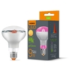 LED лампа для растений Filament R80 9W E27 1200K Videx